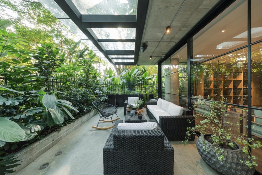 wmremove-transformed (4)